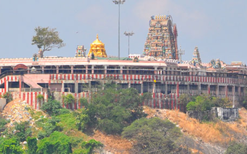 Know the Night miracle at Palani Murugar temple