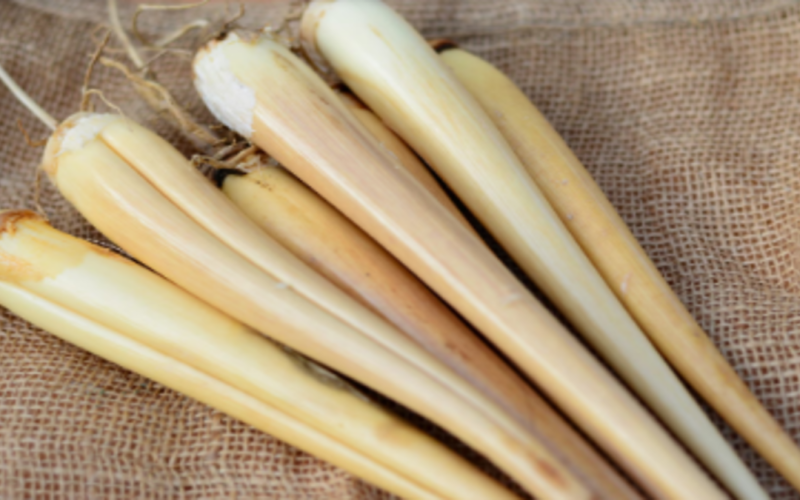 Can diabetics eat Panaikilangu