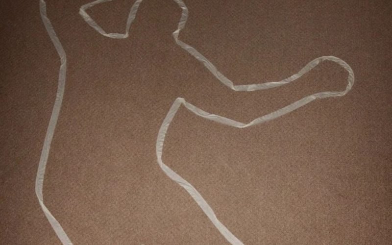 Chennai BSNL female employee death