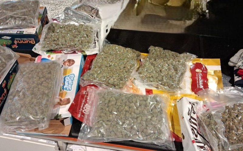 hydroponic ganja seized at Chennai airport