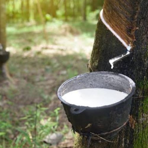 Rubber Price Surge