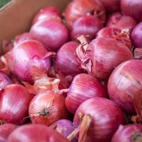 Onion Procurement Slumps