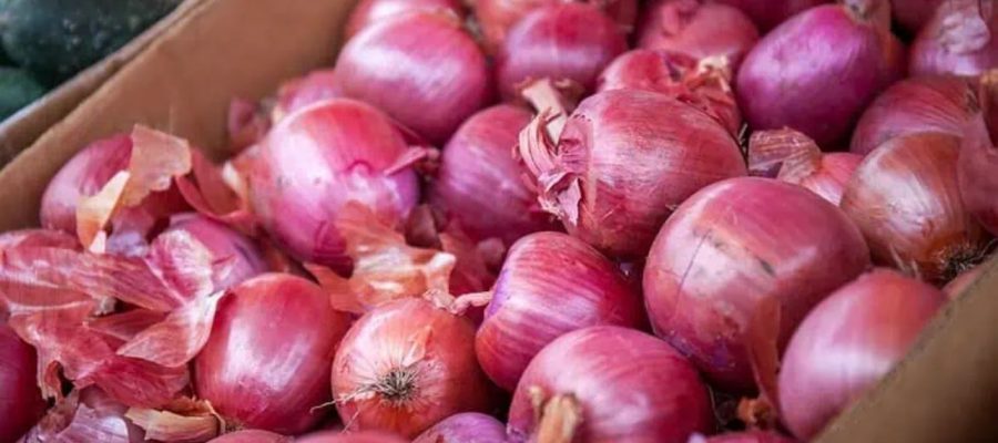 Onion Procurement Slumps