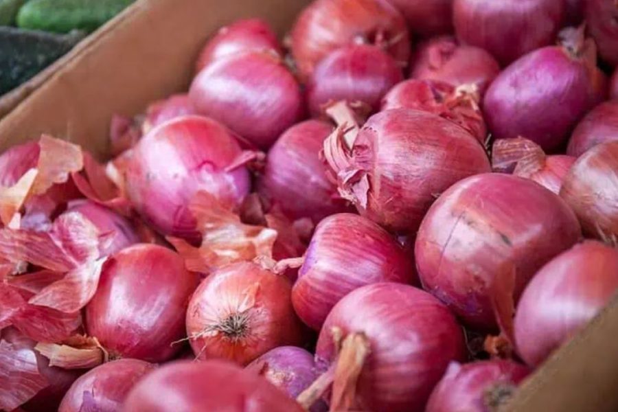 Onion Procurement Slumps