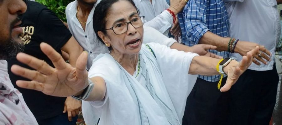 Shoes, Mud Thrown at Mamata