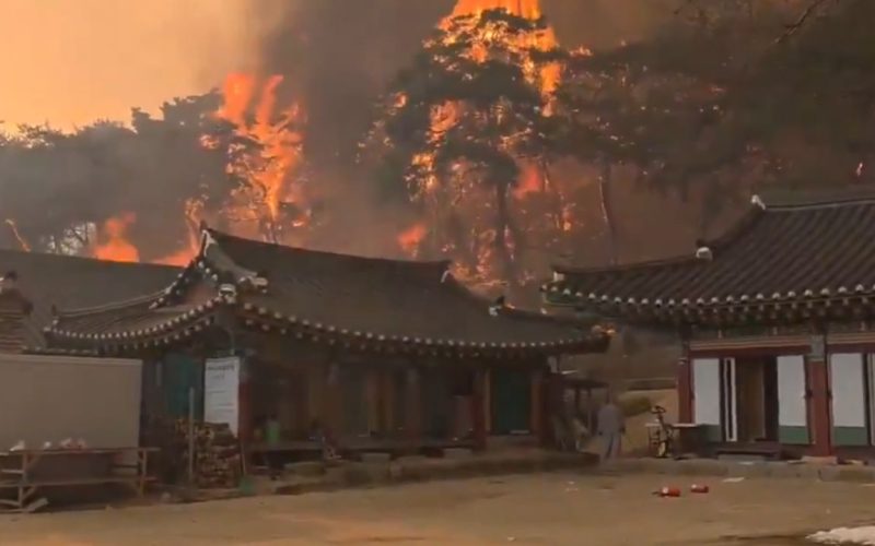South Korea wildfires