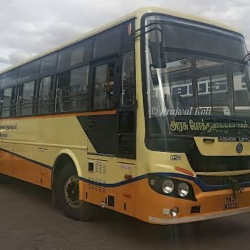 Special Buses