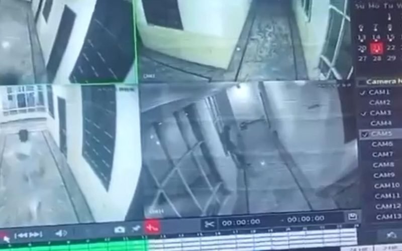 Student died after Chasing Dog Falls Off 3rd Floor