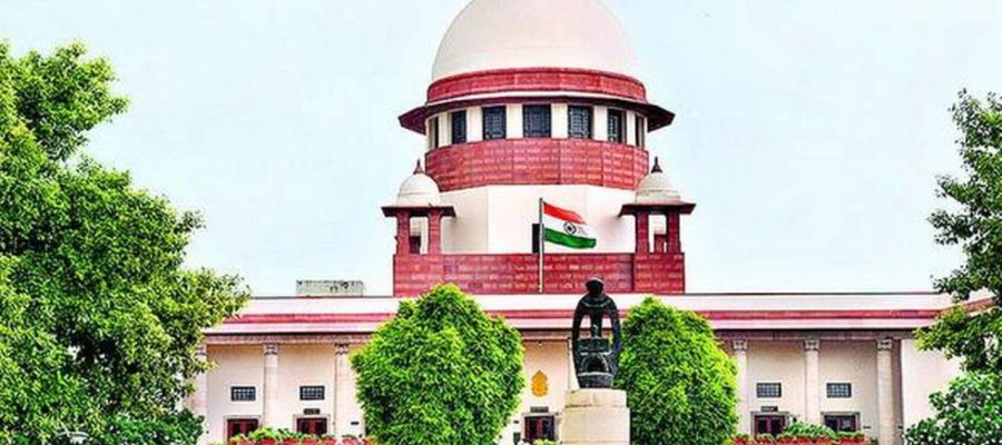 HC's cow slaughter ban