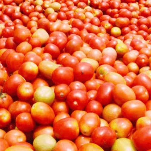Tomato Prices Drop
