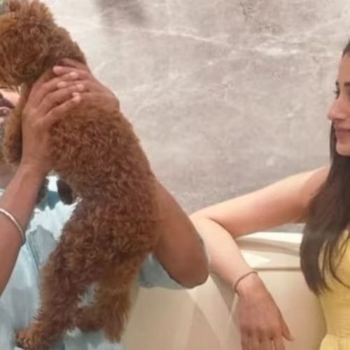 நடிகர் விஜய் உடன் நடிகை திரிஷா