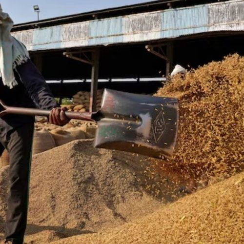 அரிசி உற்பத்தியில் இந்தியா சாதனை