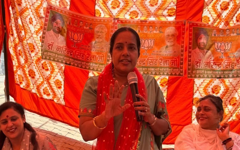 Vanathi Srinivasan is response to Su Venkatesans One Country One Election comment