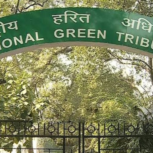Green Tribunal Warning