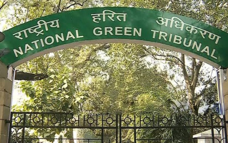 Green Tribunal Warning