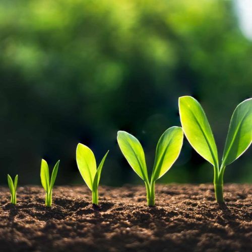 இந்தியாவின் வளர்ச்சி உயர்வு
