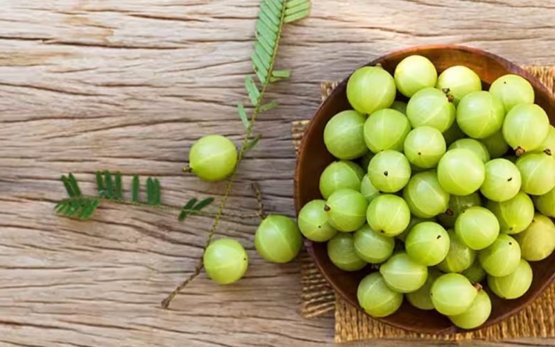 Which Indian state produces the most gooseberries