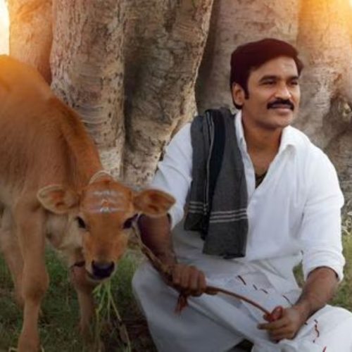 இட்லிக் கடை 5ஆம் நாள் வசூல்