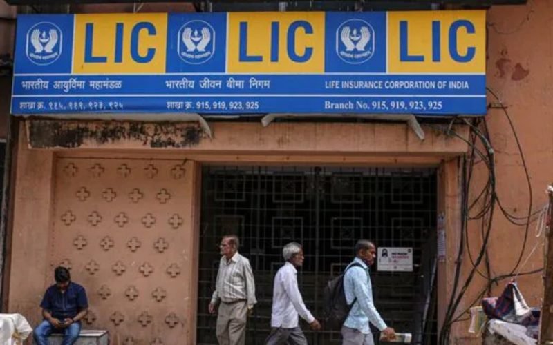 lic q2 net profit falls 4 pc