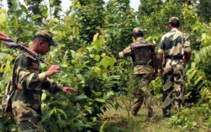 7 maoists shot dead firing in telangana