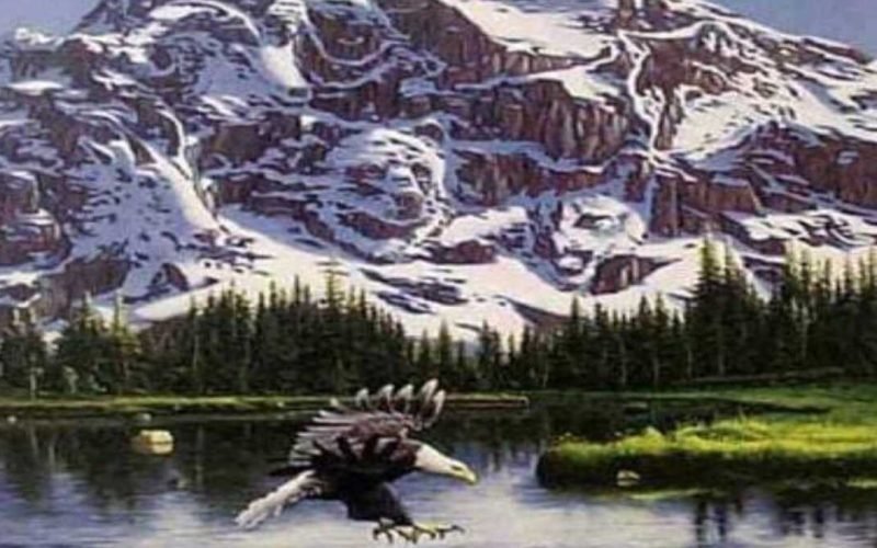 optical illusion Find the eagle hidden in the snow mountain