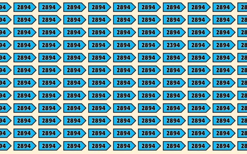 optical illusion