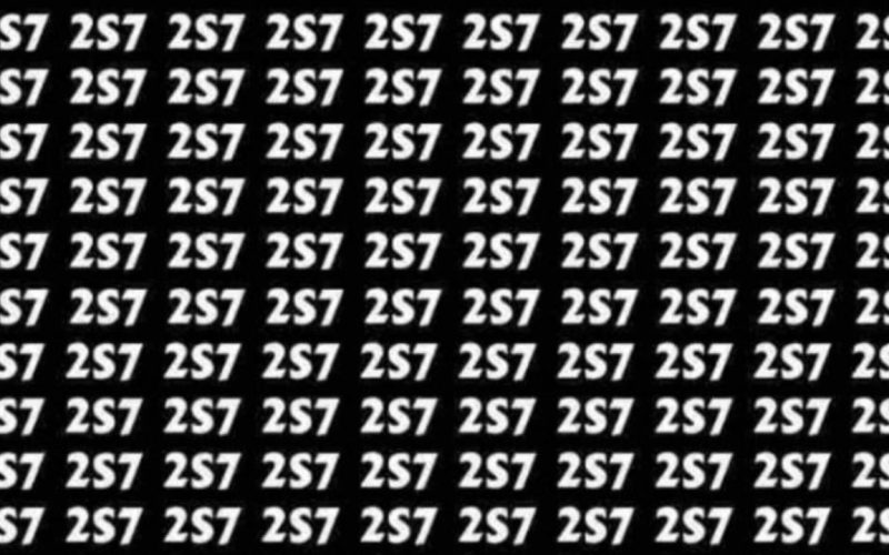 optical illusion find the number 257 hidden among many 2S7s
