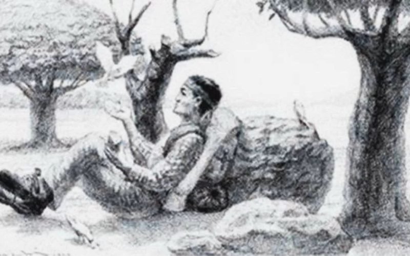 Find the hidden horse in the picture in 10 minutes