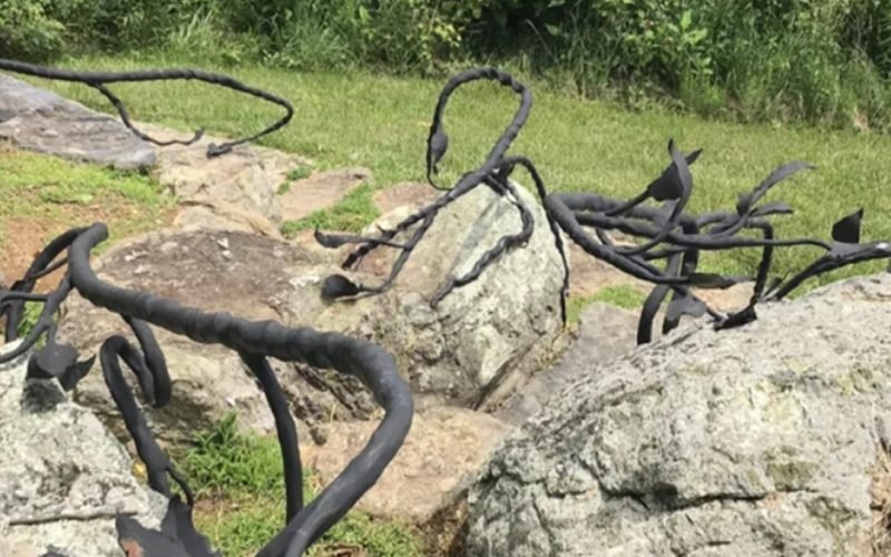 Find a snake on a rock in this optical illusion