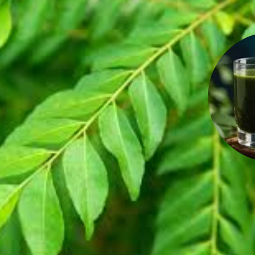 கறிவேப்பிலை சாறு