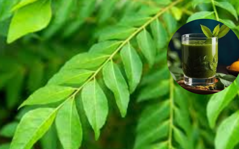 know its benefits in Drinking Curry Leaves juice on an empty stomach