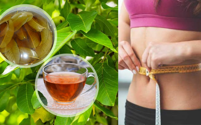 Is guava leaves Can reduce weight